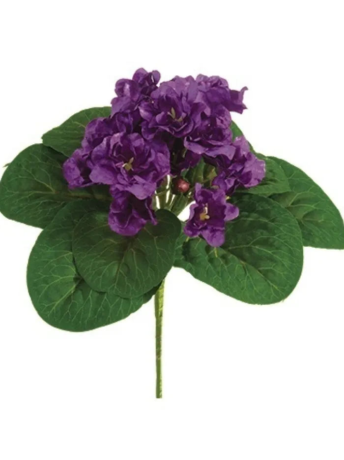 african_violet_bush__in_p_0.webp Aldik Home Flowering Bushes<African Violet Bush 8 in. Purple