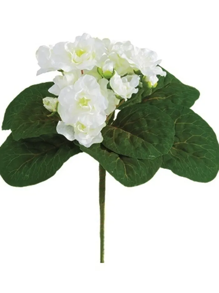 african_violet_bush__in_w_0.webp Aldik Home Flowering Bushes<African Violet Bush 8 in. White