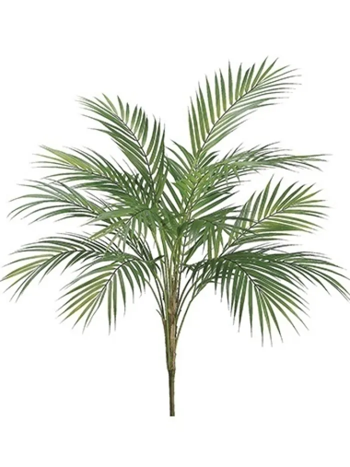areca_palm_plant__in_0-1.webp Aldik Home Tropical Plants & Flowers<Areca Palm Plant 35 in.