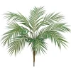 Aldik Home Tropical Plants & Flowers<Areca Palm Plant 38 in.