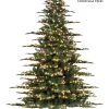 Aldik Home Pre Lit Christmas Trees | Tall Christmas Trees<Asheville Noble LED 12 FT