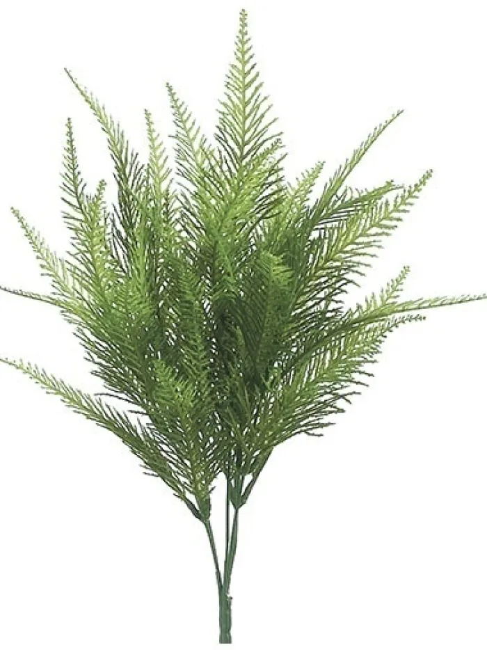 australia_fern_bush__in_0.webp Aldik Home Desk Plants | Tropical Plants & Flowers<Australia Fern Bush 15 in.