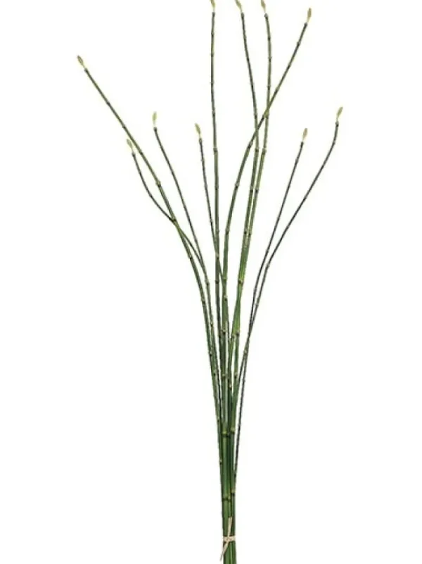 Aldik Home Tropical Plants & Flowers<Bamboo Bundle 37 in. Green
