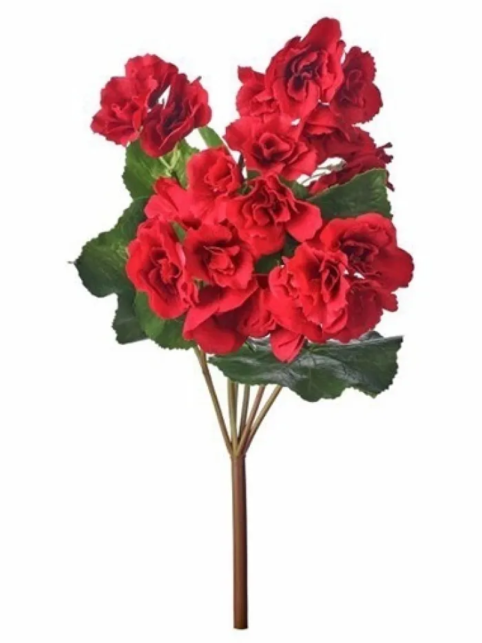 begonia__in_red_0.webp Aldik Home Flowering Bushes<Begonia 17 in. Red