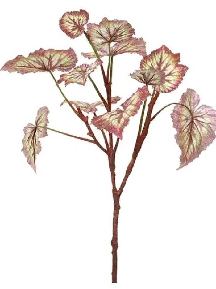 begonia_leaf__in_burgundy_0.webp Aldik Home Desk Plants | Tropical Plants & Flowers<Begonia Leaf 23 in. Burgundy / Green