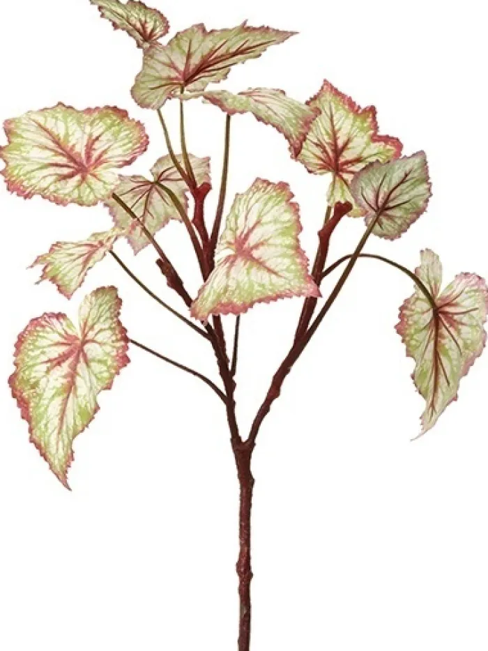 begonia_leaf__in_green__b_0.webp Aldik Home Desk Plants | Tropical Plants & Flowers<Begonia Leaf 23 in. Green / Burgundy