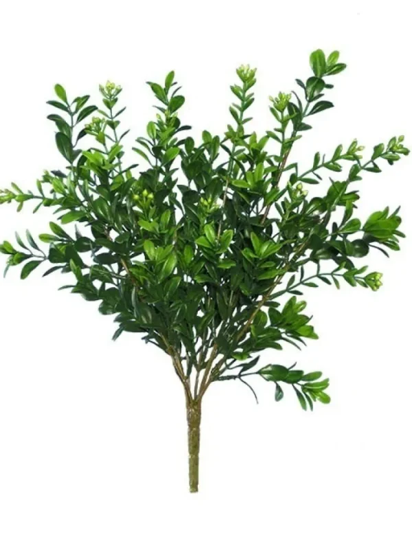 Aldik Home Desk Plants<Boxwood Bush Mini 12 in. Green
