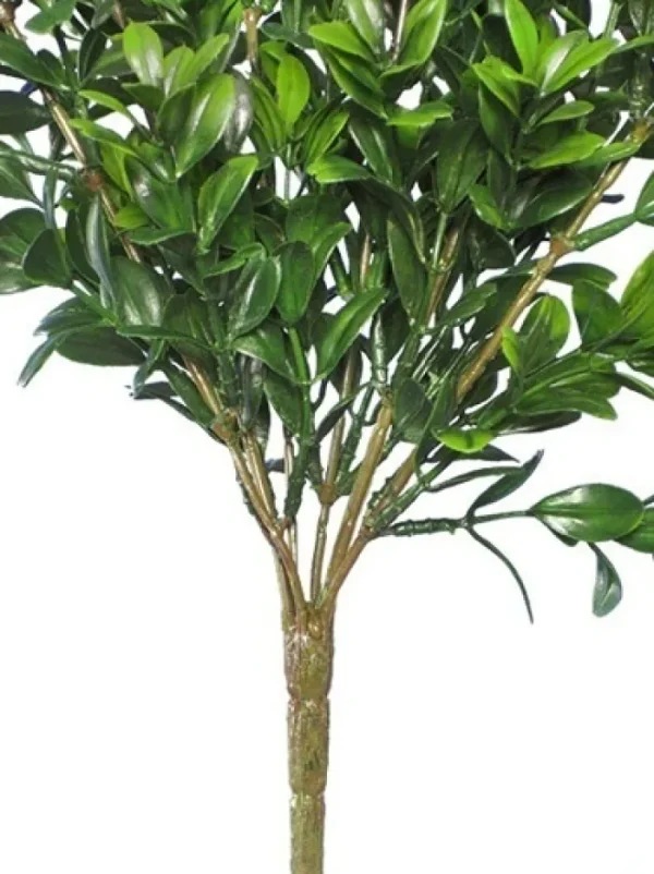 Aldik Home Desk Plants<Boxwood Bush Mini 12 in. Green