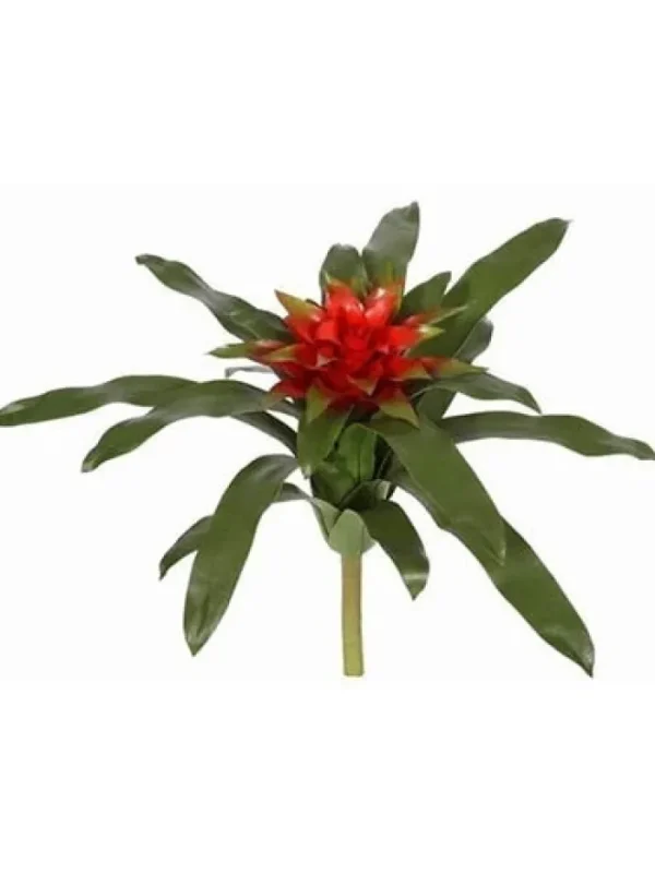 Aldik Home Desk Plants | Tropical Plants & Flowers<Bromeliad 15 in.