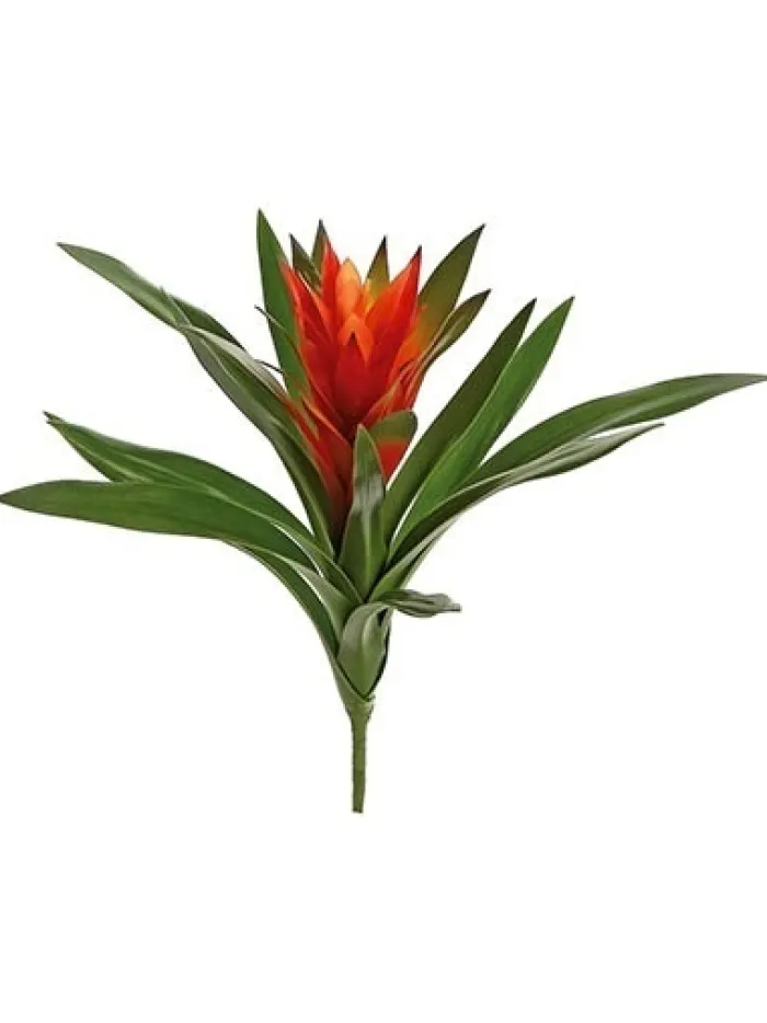bromeliad__in_burgundy_0-1.webp Aldik Home Desk Plants | Tropical Plants & Flowers<Bromeliad 16 in. Burgundy