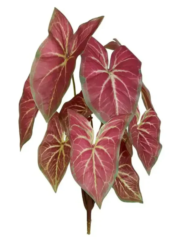 Aldik Home Desk Plants | Tropical Plants & Flowers<Caladium Bush 15 in. Red