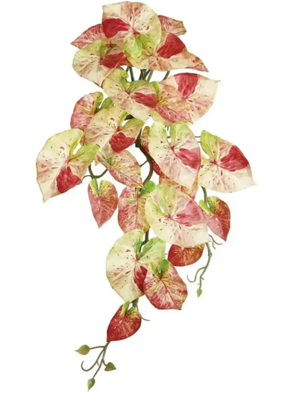 Aldik Home Tropical Plants & Flowers<Caladium Hanging Bush 21 in. Pink