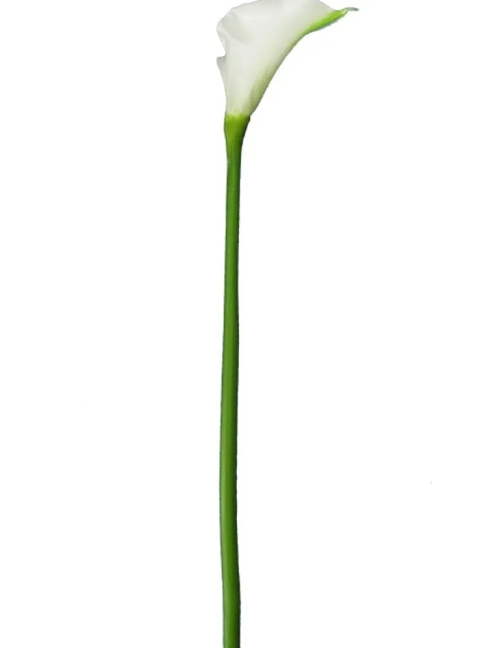 calla_lily__in_white_0.webp Aldik Home Silk Lilies<Calla Lily 29.5 in. White