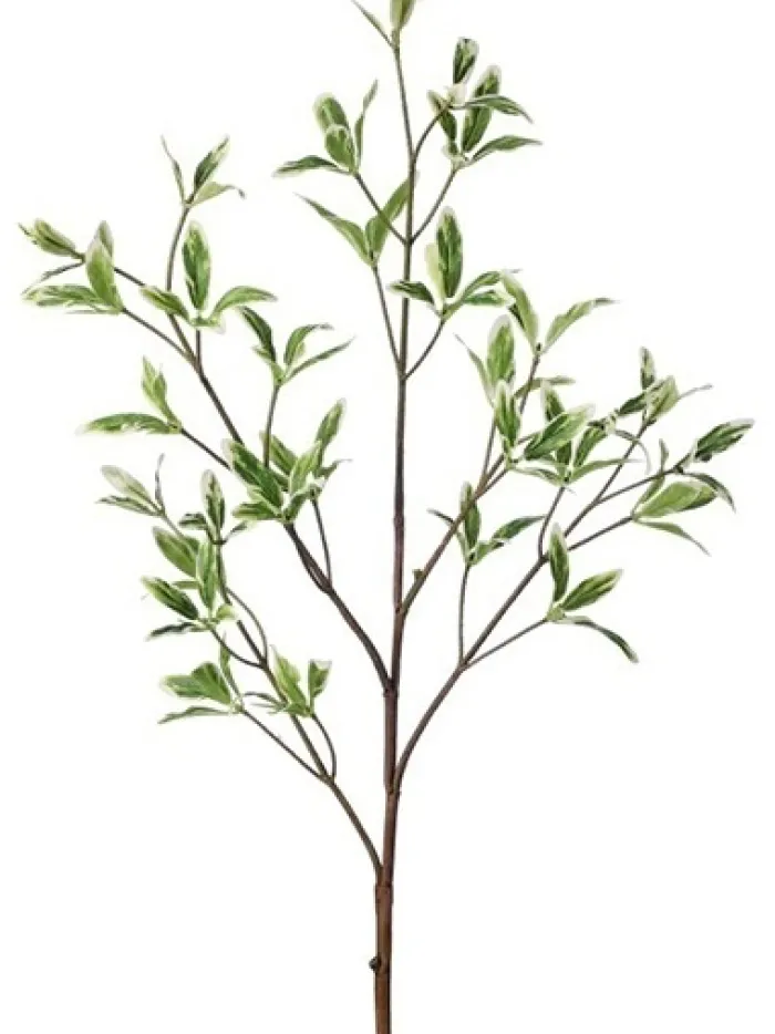 coprosma__in_green__white_0.webp Aldik Home Artificial Tree Branches | Tropical Plants & Flowers<Coprosma 31 in. Green / White