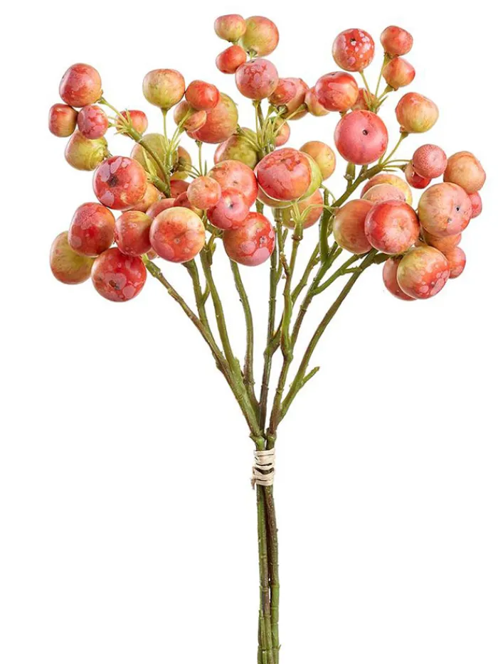 crabapple_bundle_x_inoran_0.webp Aldik Home Fruit And Vegetables | Desk Plants<Crabapple Bundle X3 14in-Orange