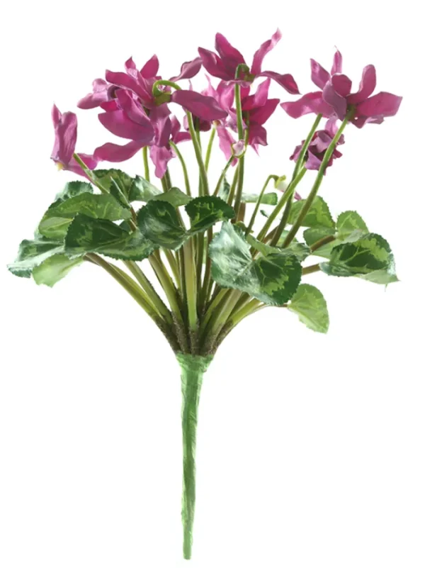 Aldik Home Flowering Bushes<Cyclamen Stem 11 in. Fuchsia