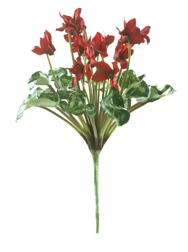 Aldik Home Flowering Bushes<Cyclamen Stem 11 in. Red