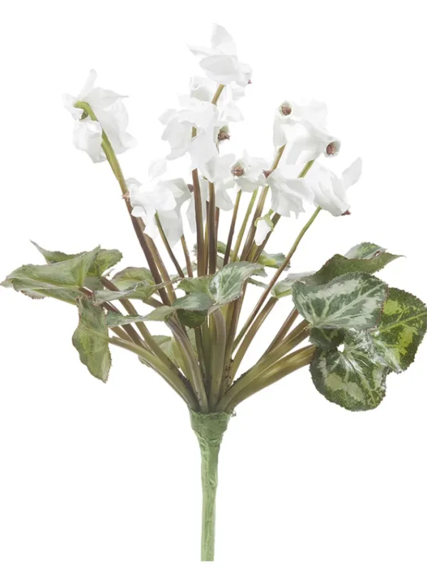 Aldik Home Flowering Bushes<Cyclamen Stem 11 in. White