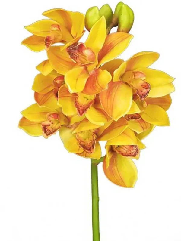 Aldik Home Silk Orchids<Cymbidium Orchid 19 in. Gold