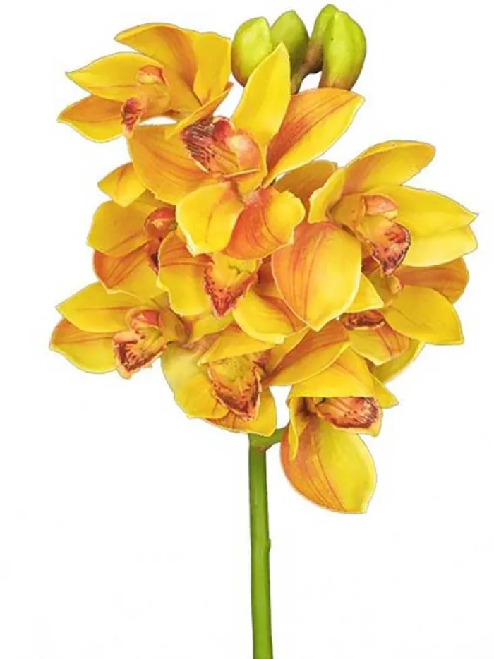 cymbidium_orchid__in_gold_0.webp Aldik Home Silk Orchids<Cymbidium Orchid 19 in. Gold