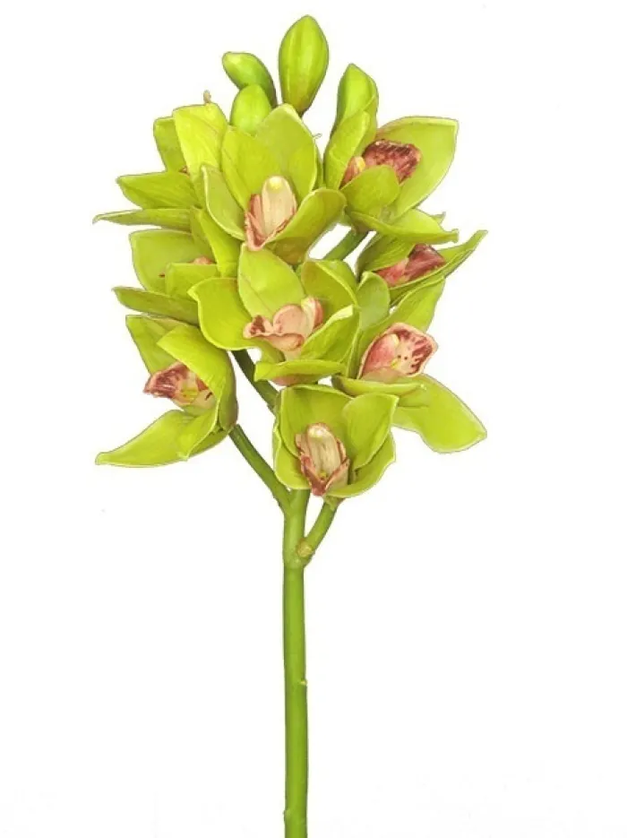 cymbidium_orchid__in_gree_0.webp Aldik Home Silk Orchids<Cymbidium Orchid 19 in. Green