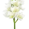 Aldik Home Silk Orchids<Cymbidium Orchid 19 in. White
