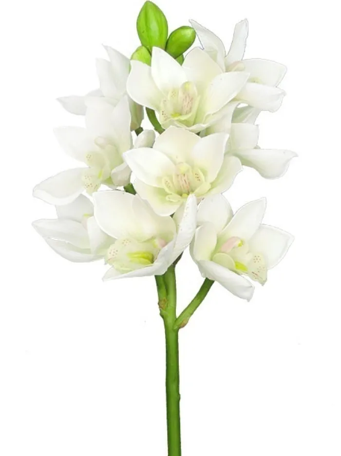 cymbidium_orchid__in_whit_0.webp Aldik Home Silk Orchids<Cymbidium Orchid 19 in. White
