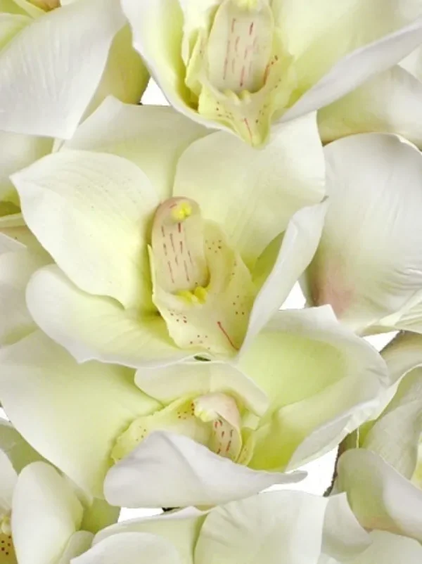 Aldik Home Silk Orchids<Cymbidium Orchid 41 in. White
