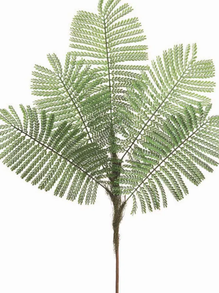 delonix_regia_leaf_spray__0.webp Aldik Home Tropical Plants & Flowers<Delonix Regia Leaf Spray 44 in. Green
