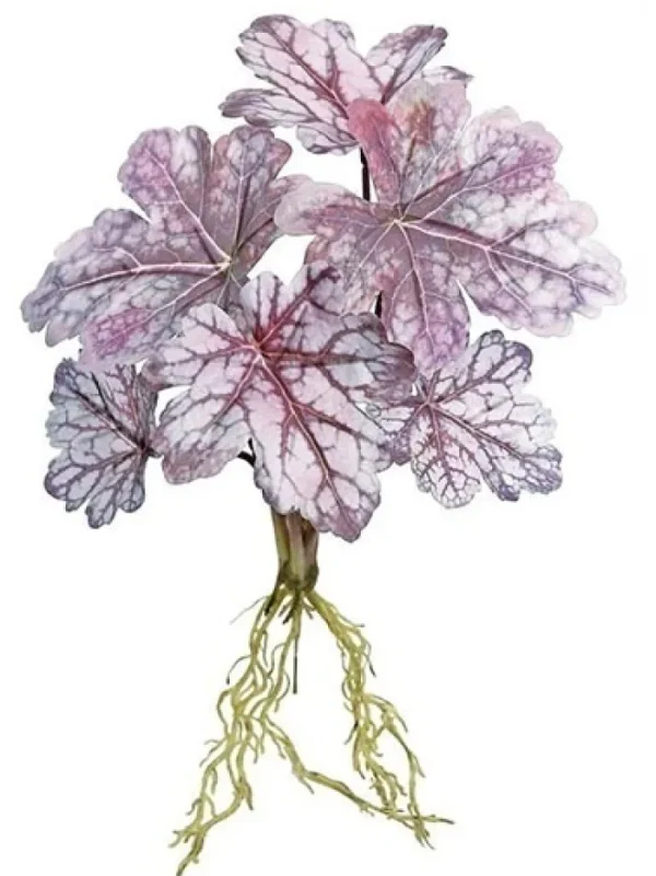 Aldik Home Desk Plants | Tropical Plants & Flowers<Dragon Coleus Plant 16 in. Burgundy / Mauve