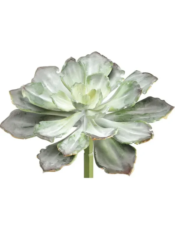 Aldik Home Echeverias<Echeveria 8in Green/Grey