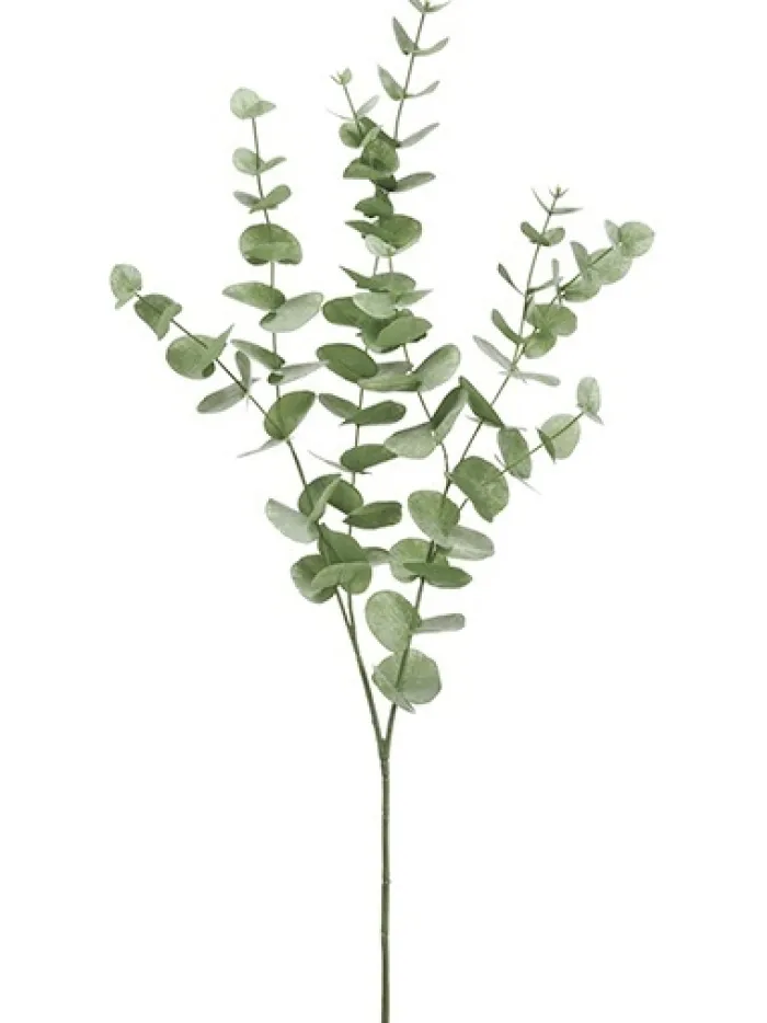 eucalyptus__in_green_0.webp Aldik Home Artificial Tree Branches | Tropical Plants & Flowers<Eucalyptus 40 in. Green