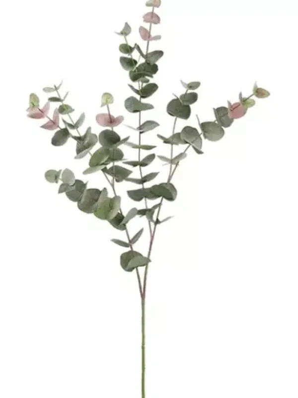 Aldik Home Artificial Tree Branches | Tropical Plants & Flowers<Eucalyptus 40 in. Green / Burgundy