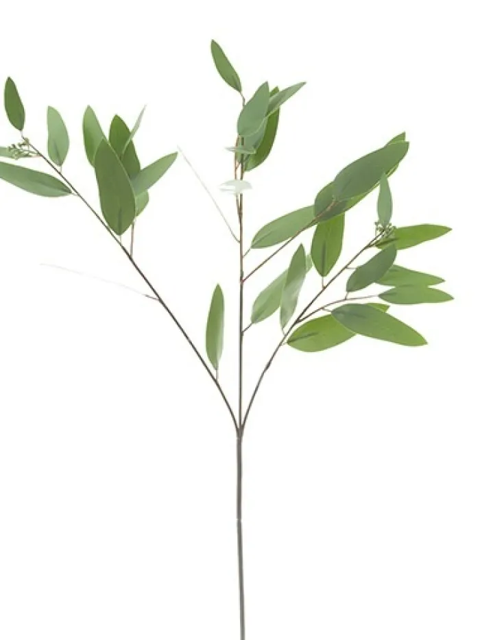 eucalyptus_long_leaf__in_0.webp Aldik Home Artificial Tree Branches<Eucalyptus Long Leaf 34 in.