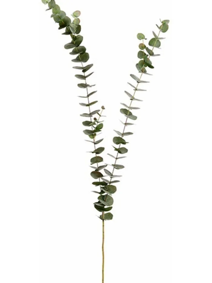 eucalyptus_spray__in_gree_0-2.webp Aldik Home Artificial Tree Branches<Eucalyptus Spray 61 in. Green / Gray