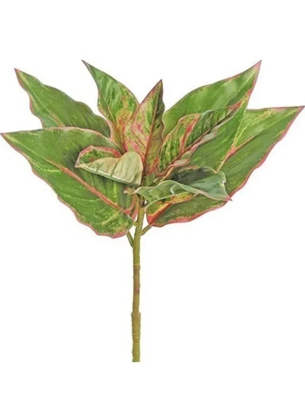 Aldik Home Desk Plants | Tropical Plants & Flowers<Evergreen Plant 17 in. Green
