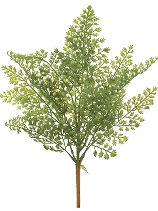 Aldik Home Desk Plants | Tropical Plants & Flowers<Fern Bush 17 in.