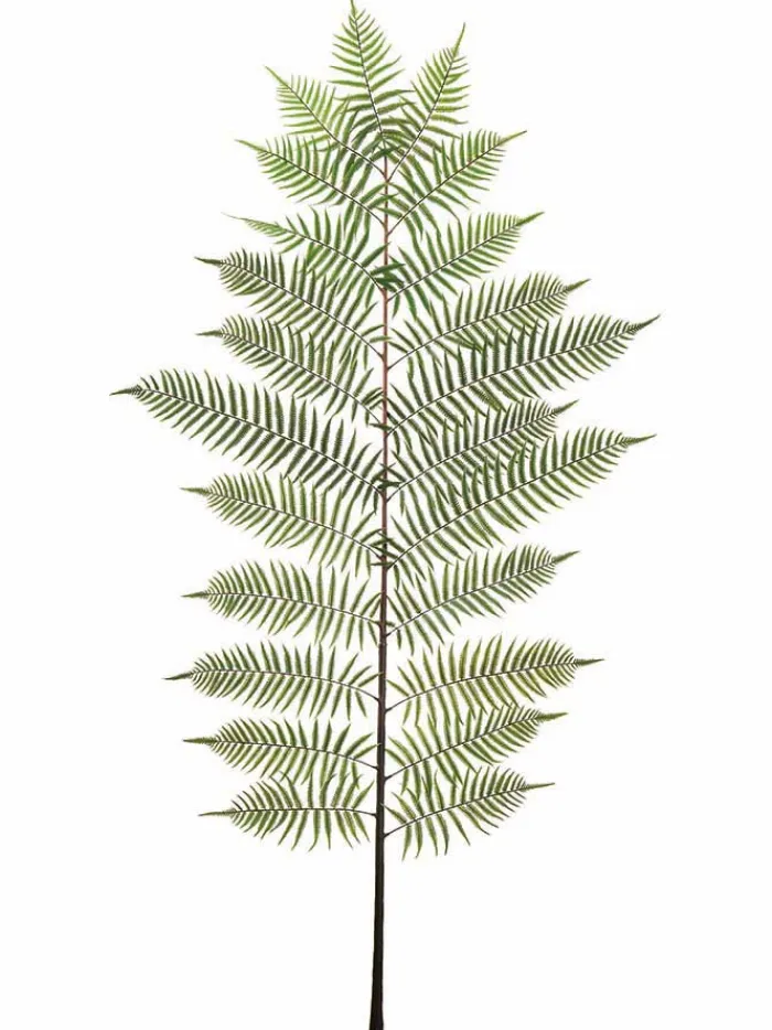 fern_spray__in_green_0-1.webp Aldik Home Tropical Plants & Flowers<Fern Spray 94 in. Green