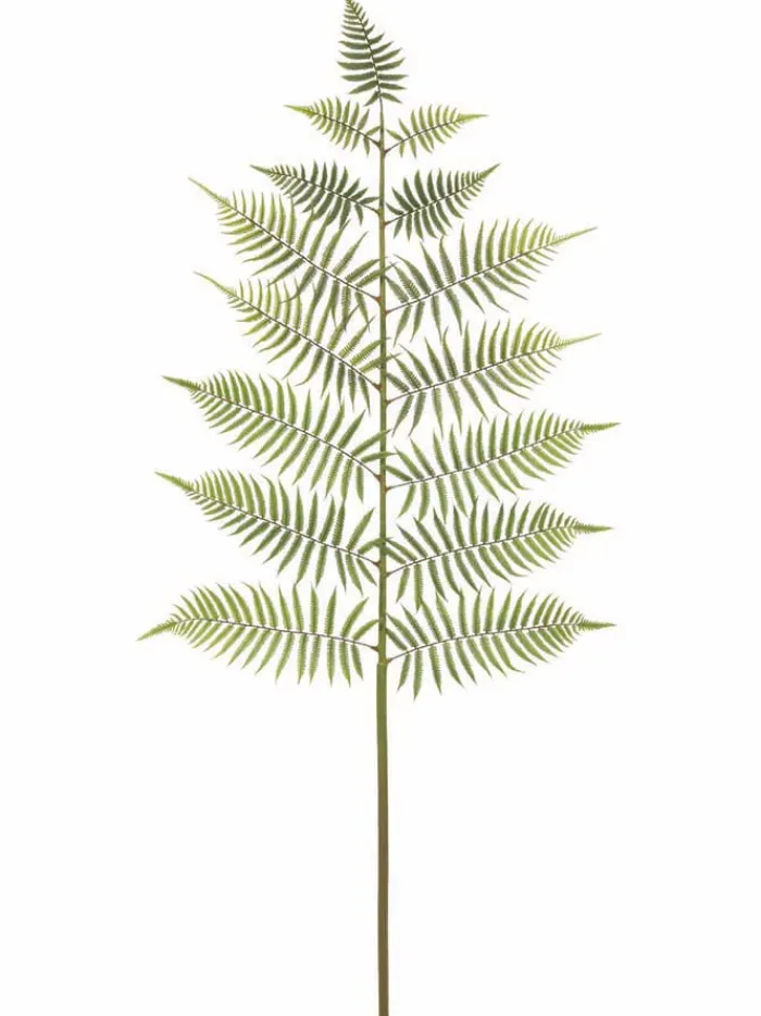 fern_spray__in_green_0-2.webp Aldik Home Tropical Plants & Flowers<Fern Spray 66 in. Green