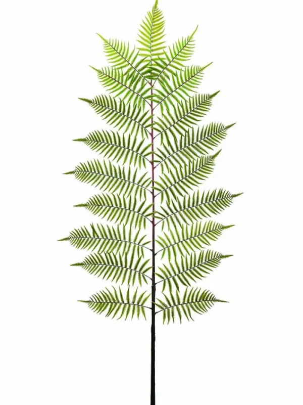 Aldik Home Tropical Plants & Flowers<Fern Spray 84 in. Green