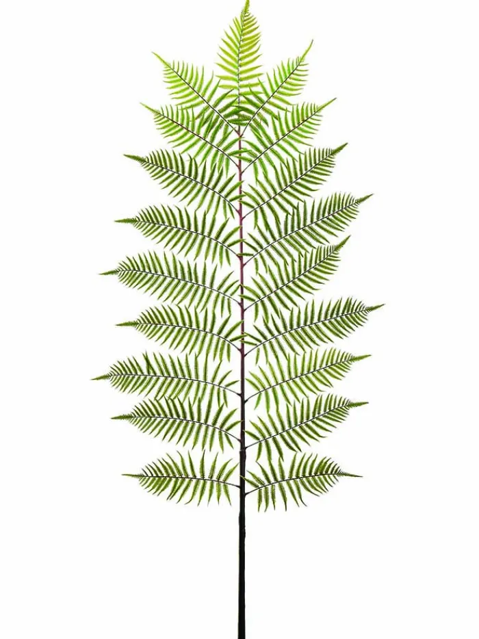 fern_spray__in_green_0.webp Aldik Home Tropical Plants & Flowers<Fern Spray 84 in. Green