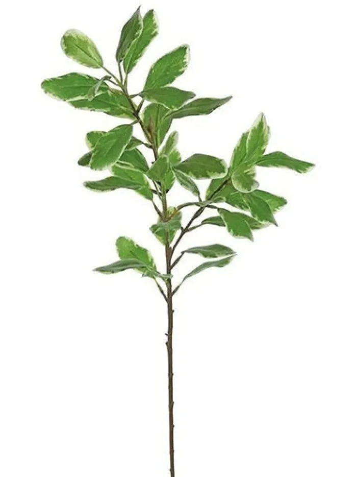 ficus_leaf_branch__in_gre_0.webp Aldik Home Tropical Plants & Flowers<Ficus Leaf Branch 29 in. Green / White
