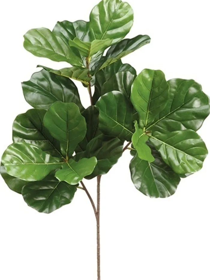 fiddle_leaf__in_dark_gree_0.webp Aldik Home Artificial Tree Branches | Tropical Plants & Flowers<Fiddle Leaf 34 in. Dark Green