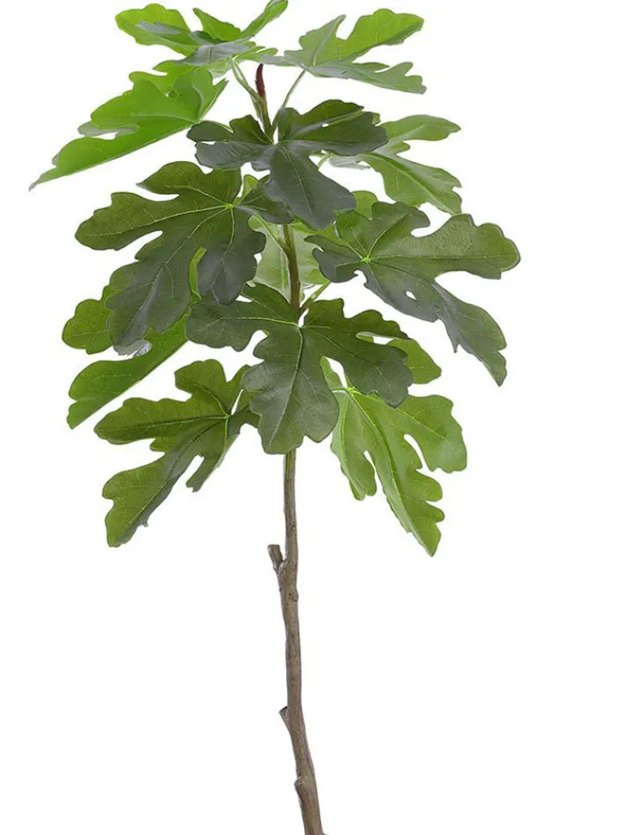 fig_leaf_branch__in_green_0-1.webp Aldik Home Artificial Tree Branches | Tropical Plants & Flowers<Fig Leaf Branch 41 in. Green