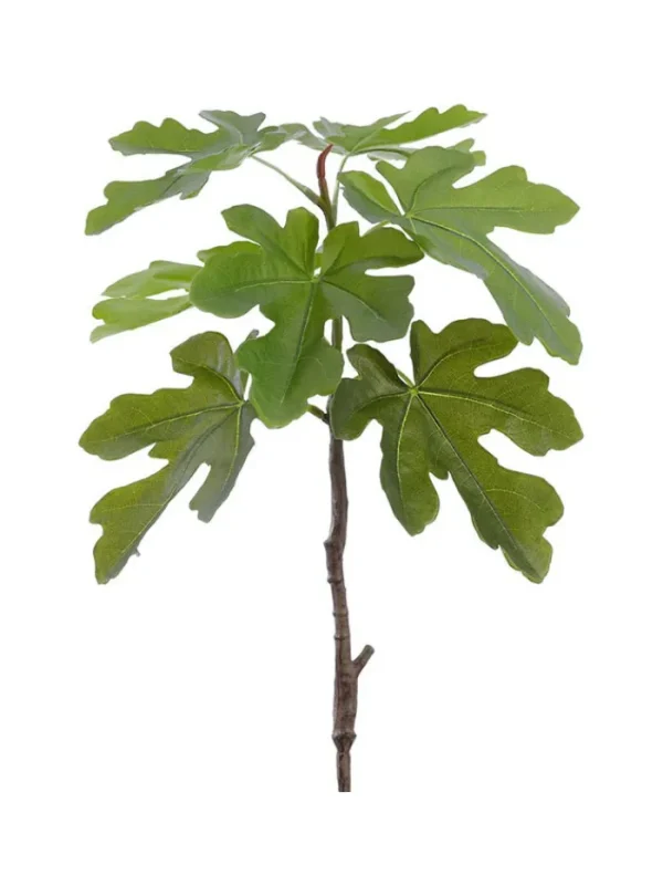 Aldik Home Artificial Tree Branches | Tropical Plants & Flowers<Fig Leaf Branch 29.5 in. Green