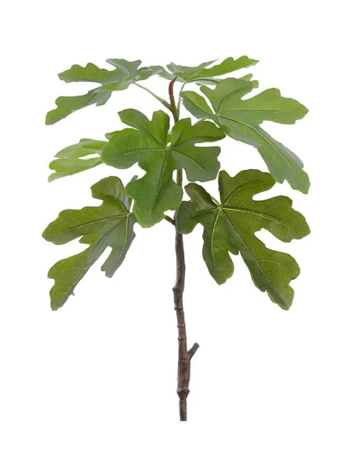 fig_leaf_branch__in_green_0.webp Aldik Home Artificial Tree Branches | Tropical Plants & Flowers<Fig Leaf Branch 29.5 in. Green