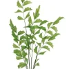 Aldik Home Tropical Plants & Flowers<Fishtail Palm 42 in. Green