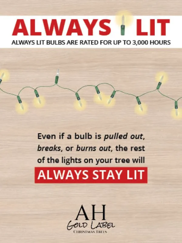 Aldik Home Slim Christmas Trees | Small Christmas Trees<Forest Sierra Always Lit 5 FT
