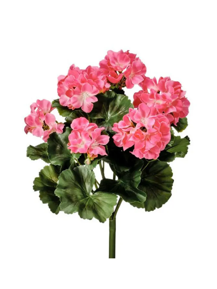 geranium_bush__in_pink_0.webp Aldik Home Flowering Bushes<Geranium Bush 17 in. Pink