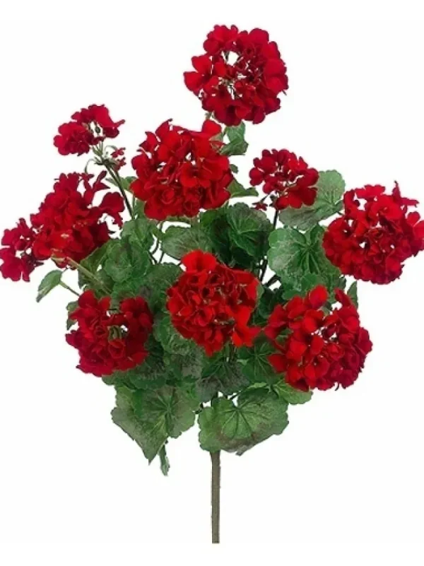 Aldik Home Flowering Bushes<Geranium Bush 24 in. Red